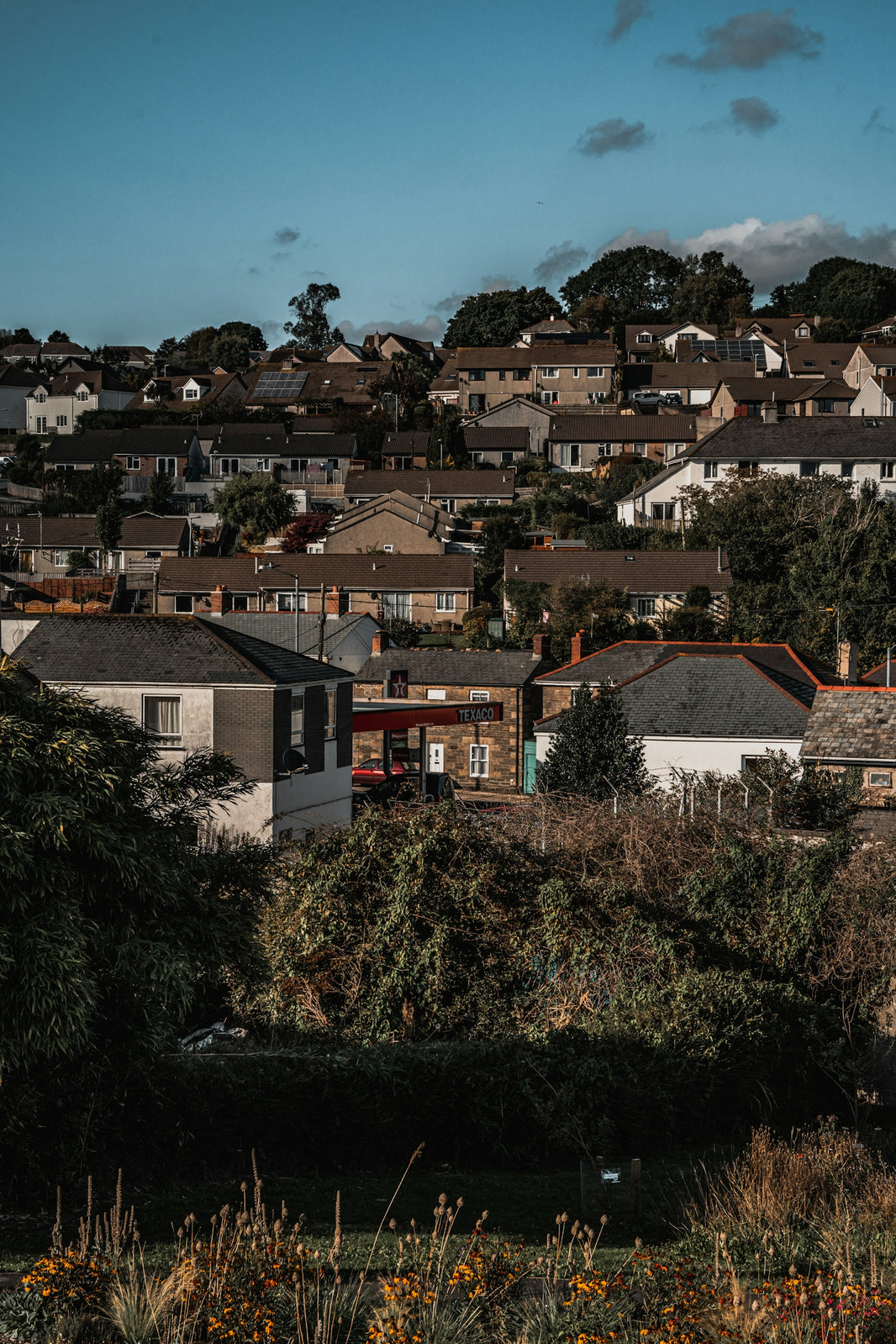 a view of a city with lots of houses