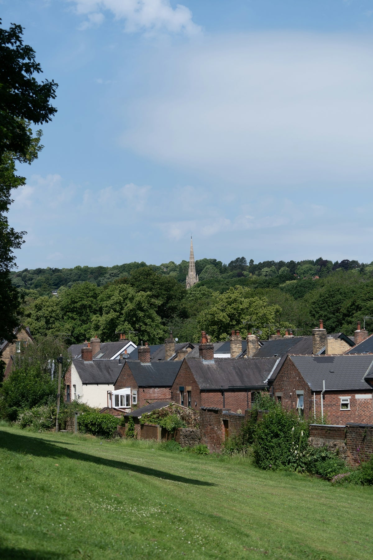 a row of houses on a hill with trees in the background