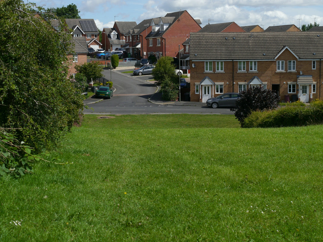 Green grassy field overlooking a suburban neighborhood street
